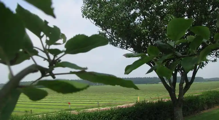 vakantiehuis in Dalfsen