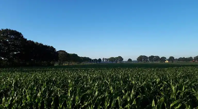 Holiday home in Dalfsen