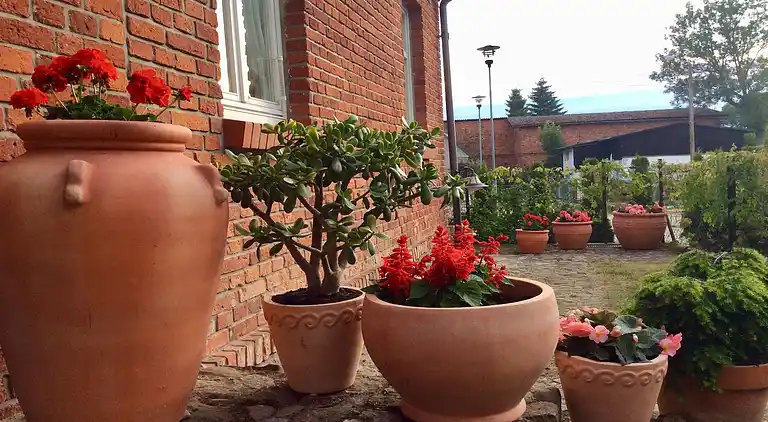 Sommerhus i Mielenko