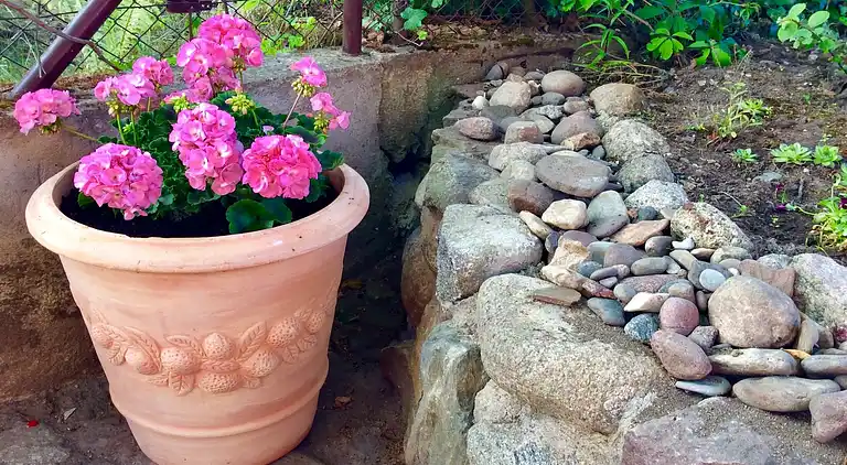 Sommerhus i Mielenko