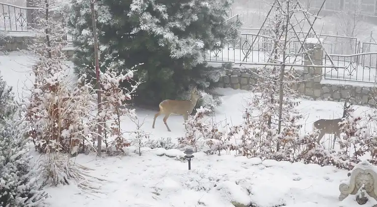 Holiday home in Przesieka