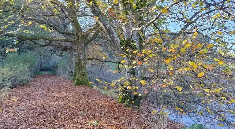 Ferielejlighed i Udler