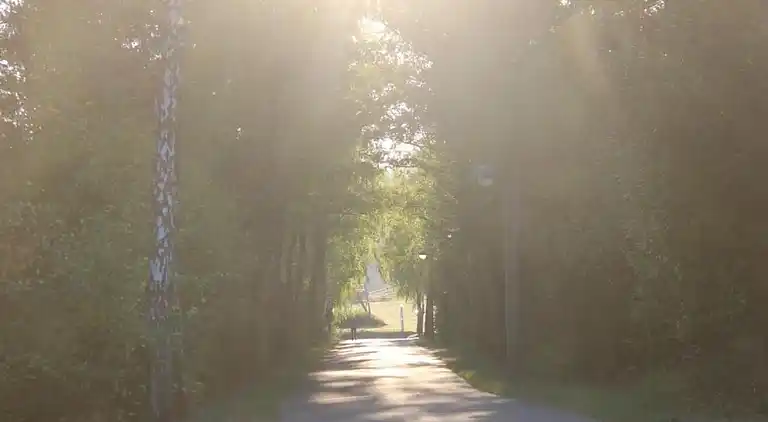 Apartment in Müllenborn