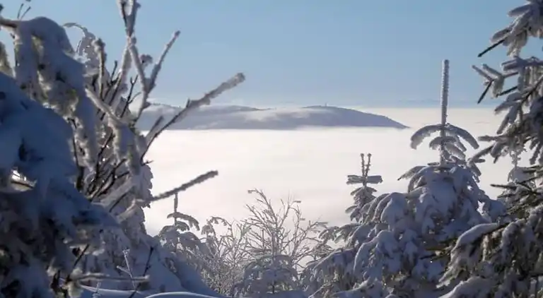 Ferienwohnung in Schwarzwald