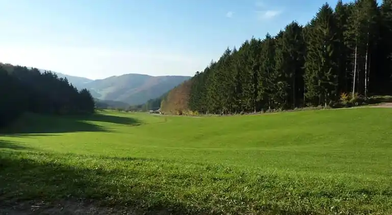 Ferienwohnung in Schwarzwald