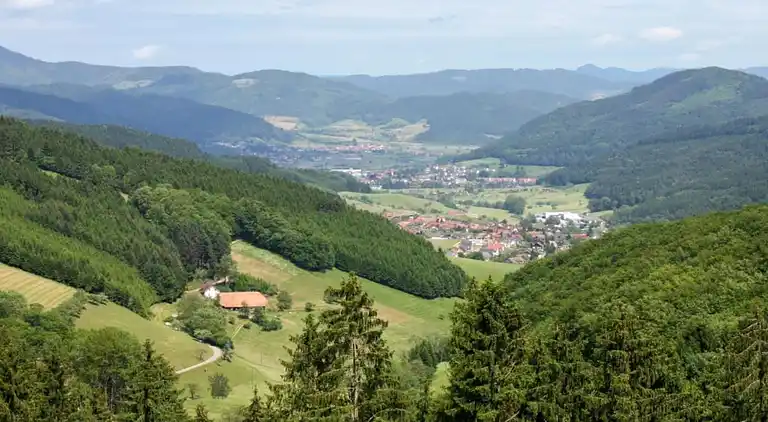 Ferienwohnung in Schwarzwald