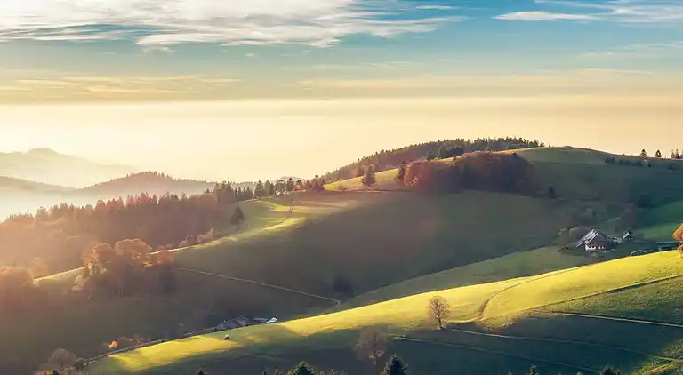 Ferienwohnung in Schwarzwald