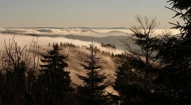 Ferienwohnung in Schwarzwald