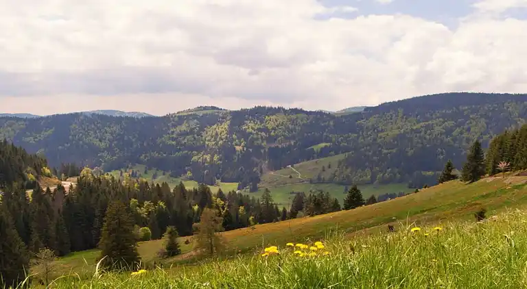 Ferienwohnung in Schwarzwald