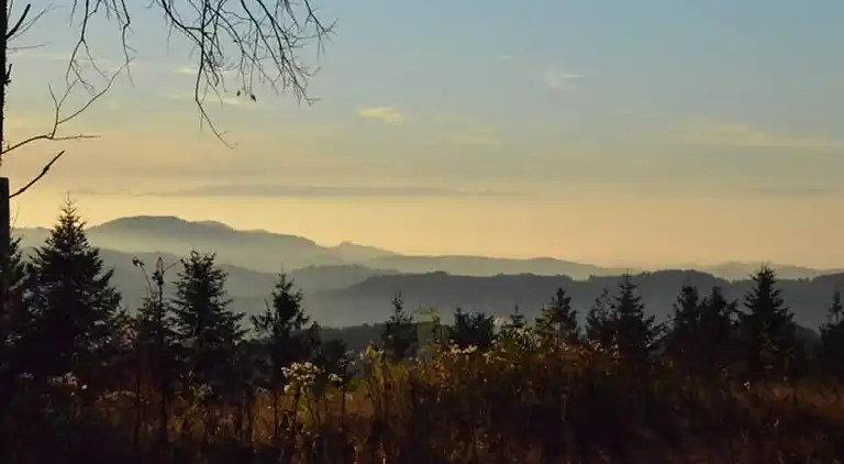 Ferienwohnung in Schwarzwald