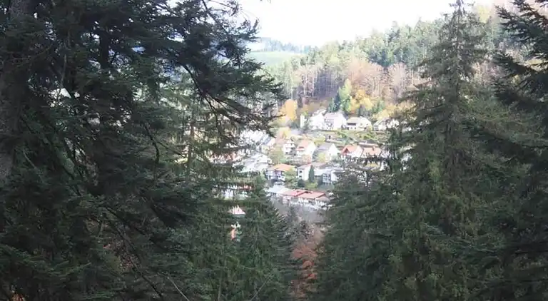 Ferienwohnung in Schwarzwald