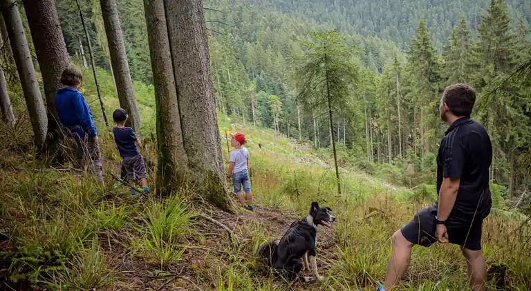 Sommerhus i Mühlenbach
