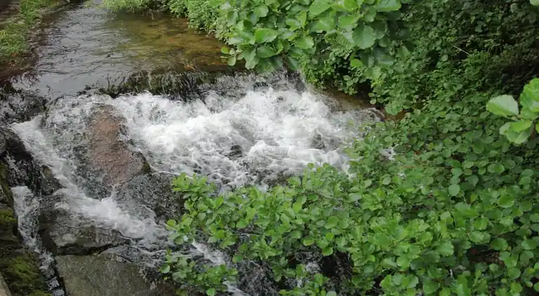 Gårdhus i Dörlinbach