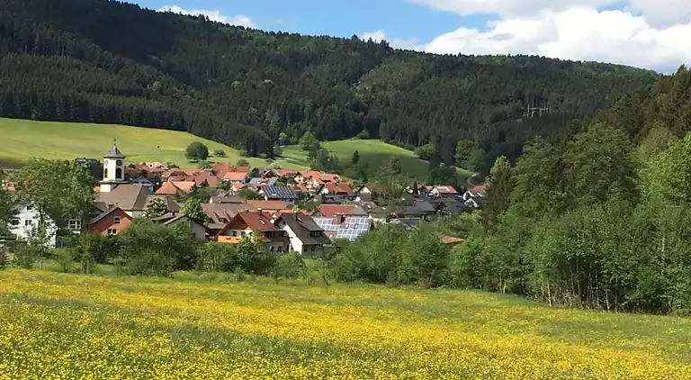 Apartment in Schiltach