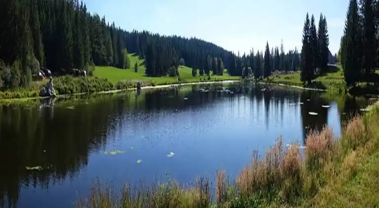 Gårdhus i Dörlinbach