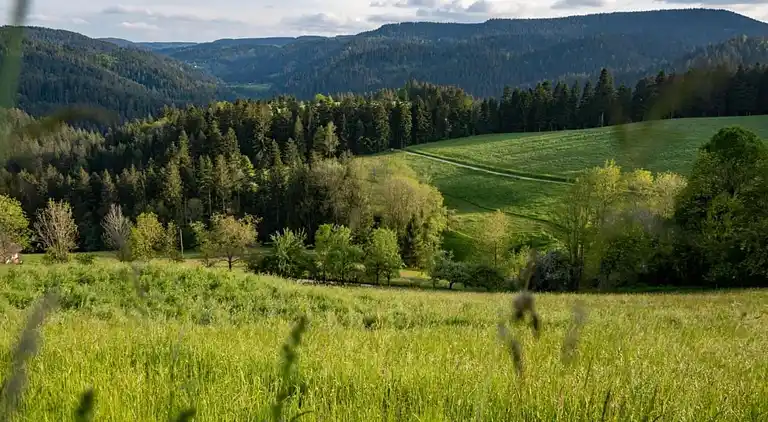 Gårdhus i Dörlinbach