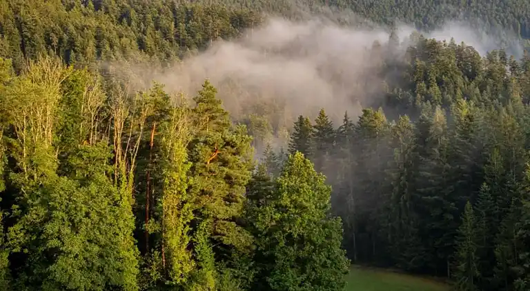 Gårdhus i Mühlenbach