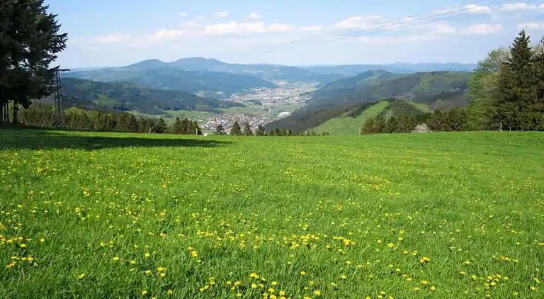 Gårdhus i Dörlinbach