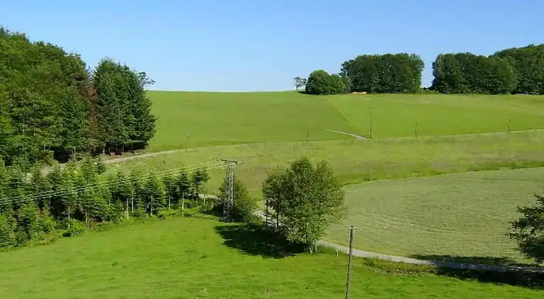 Apartment in Schiltach