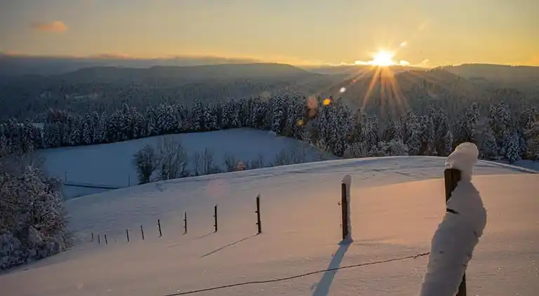 Apartment in Schiltach