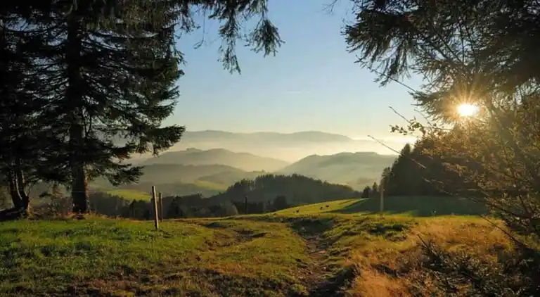 Gårdhus i Dörlinbach