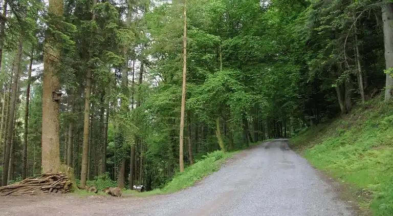 Sommerhus i Mühlenbach