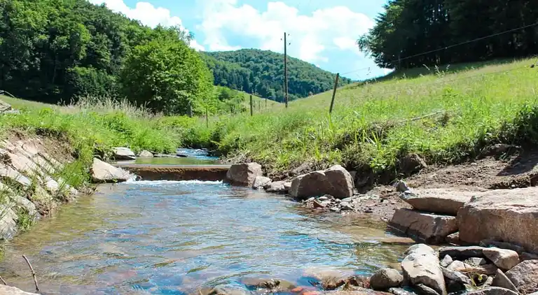Sommerhus i Mühlenbach