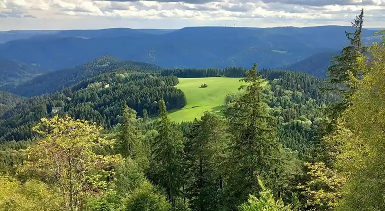 Apartment in Schiltach