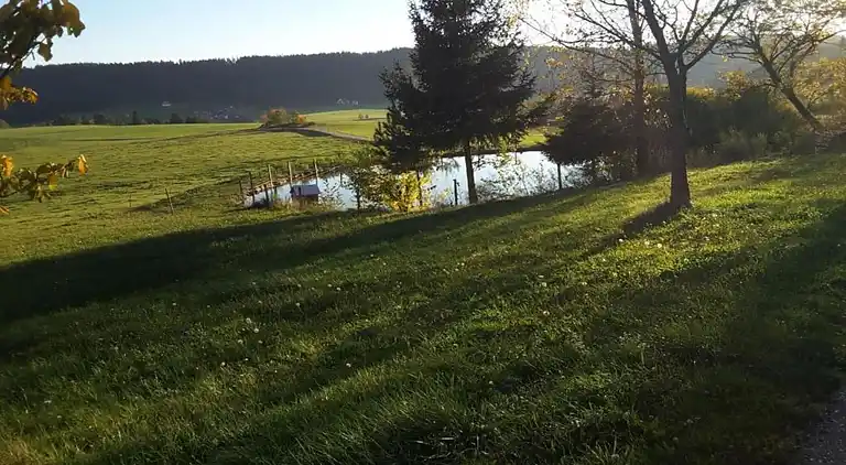 Gårdhus i Dörlinbach