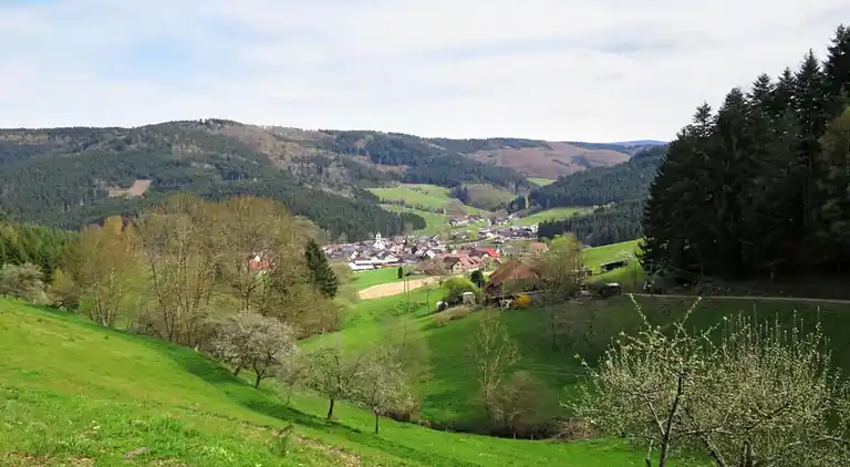 Sommerhus i Mühlenbach