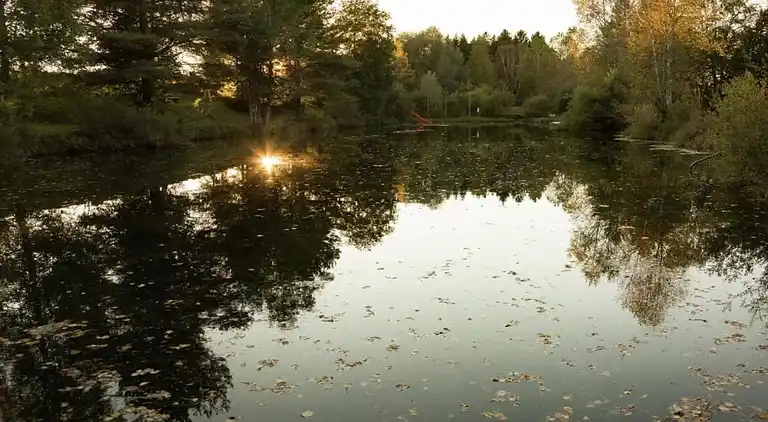 Ferielejlighed i Ingenried