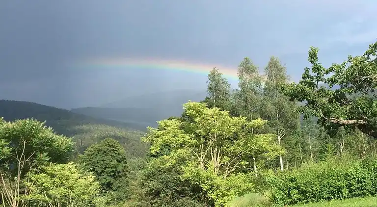 Gårdhus i Neukirchen beim Heiligen Blut