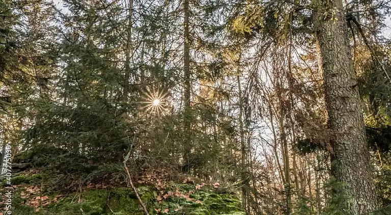 Ferielejlighed i Deggendorf