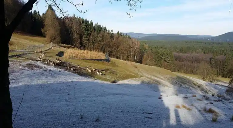 Apartment in Stockheim