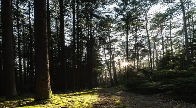 Ferielejlighed i Hamma