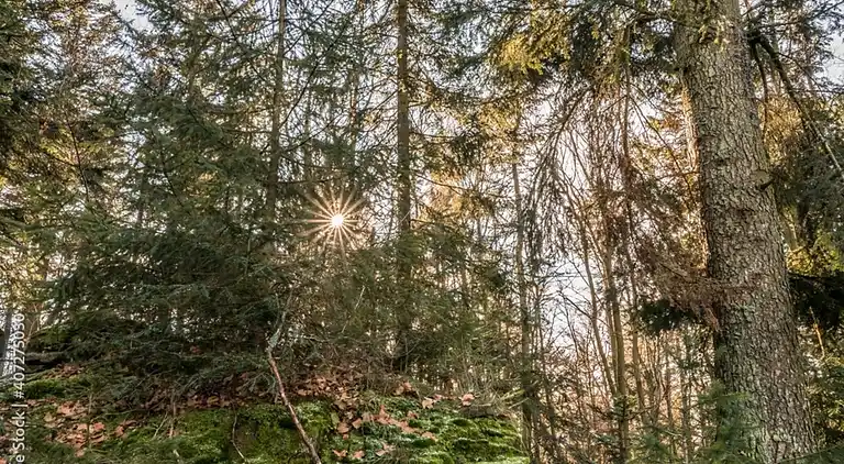 Ferielejlighed i Hamma