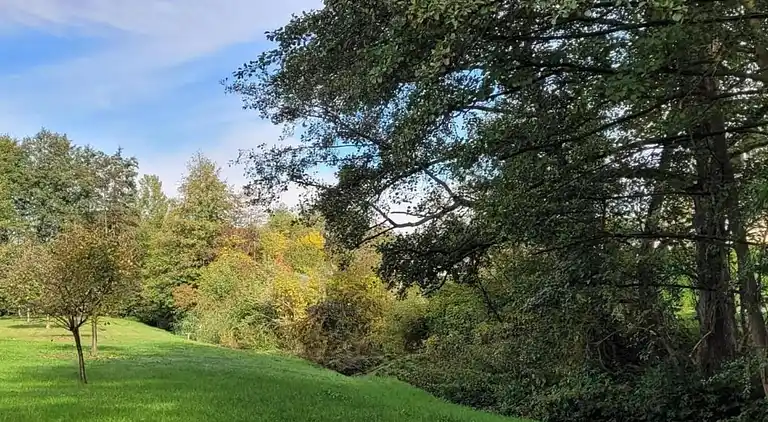 Ferielejlighed i Neu-Deesbach