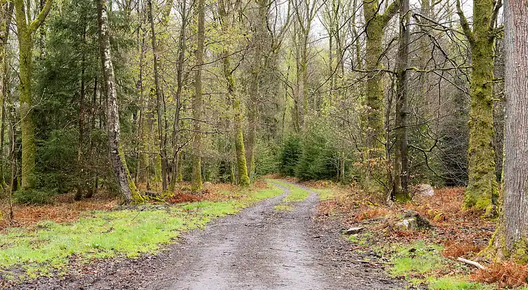 Sommerhus i Lierneux