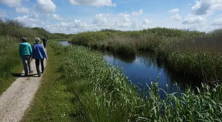 Sommerhus i Callantsoog