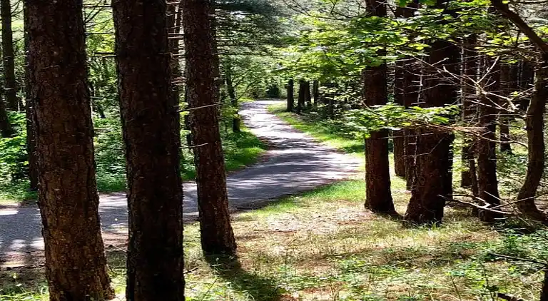 Ferielejlighed i Region Holland