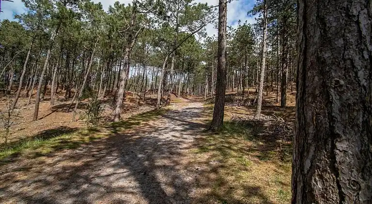 Ferielejlighed i Region Holland