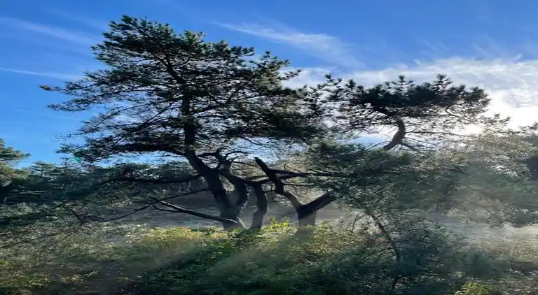 Ferielejlighed i Region Holland