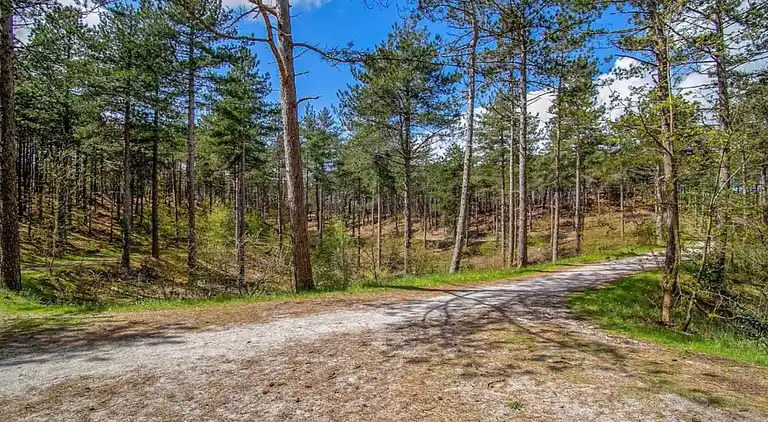 Ferielejlighed i Region Holland