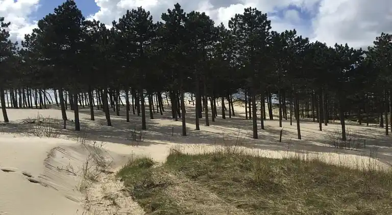 Ferielejlighed i Region Holland