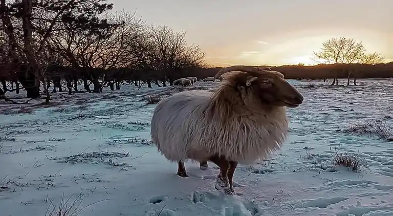 Ferielejlighed i Region Holland