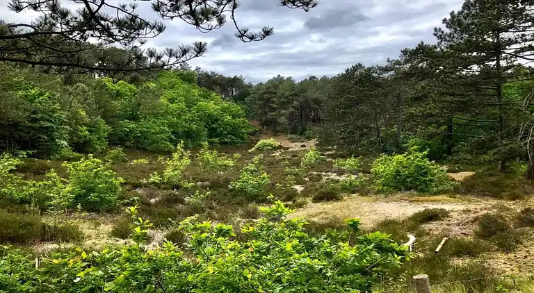 Ferielejlighed i Region Holland