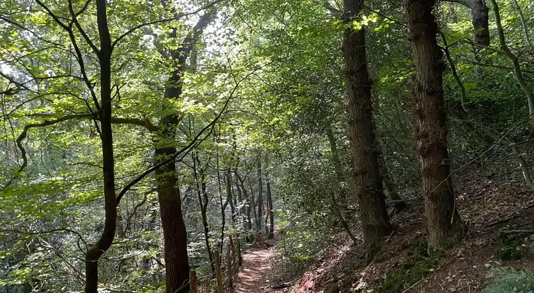 Ferielejlighed i Region Holland