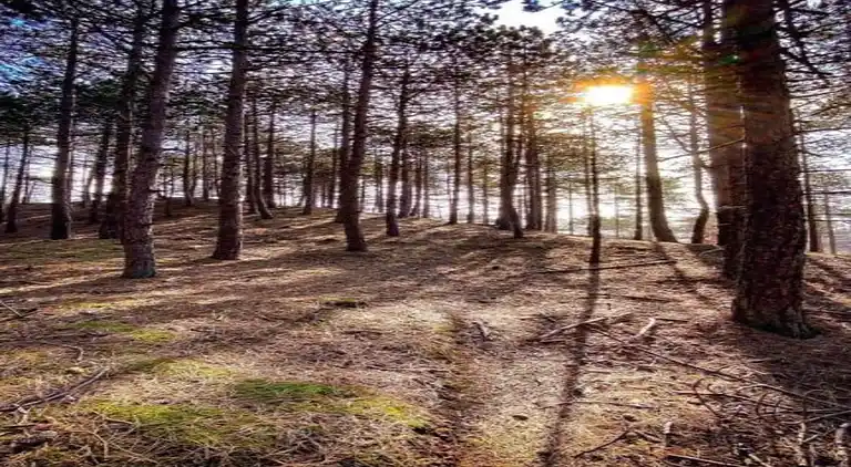 Ferielejlighed i Region Holland