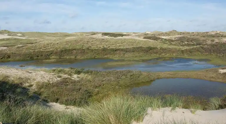 Ferielejlighed i Region Holland