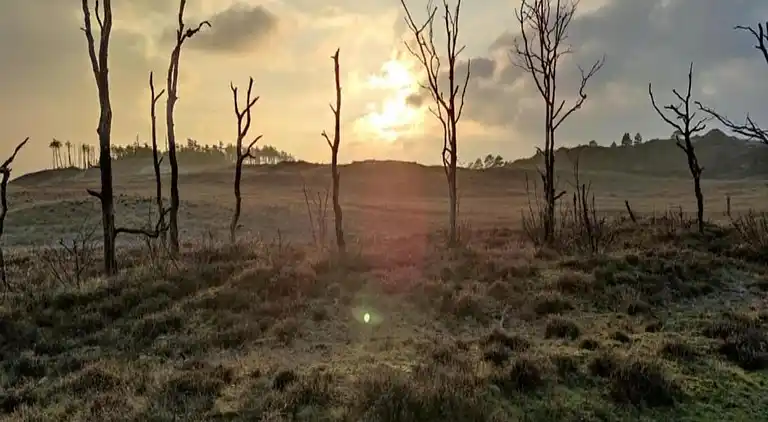 Ferielejlighed i Region Holland